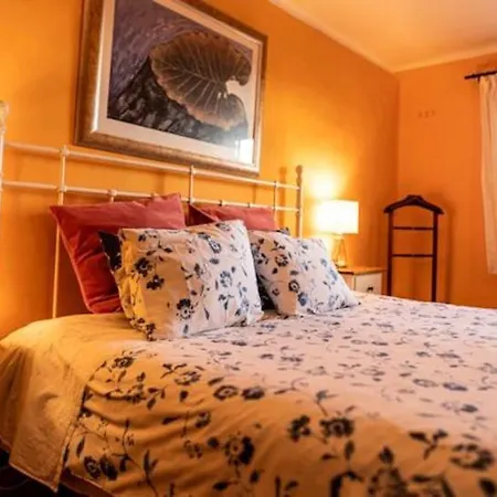 Modern In With Private Pool Willa *